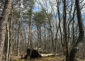 SOLD!! 12.57+/-acres unrestricted property in Spencer TN