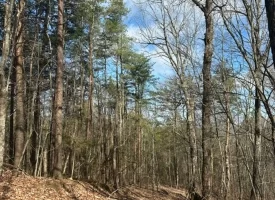 SOLD!! 12.57+/-acres unrestricted property in Spencer TN