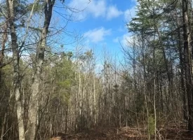 SOLD!! 12.57+/-acres unrestricted property in Spencer TN