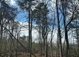 SOLD!! 12.57+/-acres unrestricted property in Spencer TN