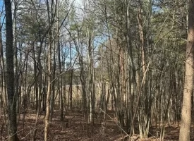 SOLD!! 12.57+/-acres unrestricted property in Spencer TN