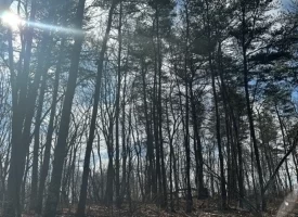 SOLD!! 12.57+/-acres unrestricted property in Spencer TN