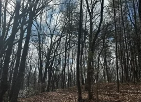 SOLD!! 12.57+/-acres unrestricted property in Spencer TN