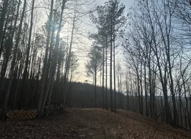 SOLD!! A one-of-a-kind property! Spectacular BLUFF property looking out to the Franklin State Forest