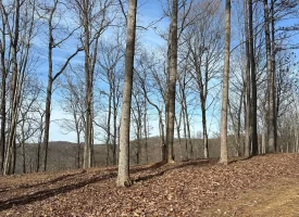 SOLD!! A one-of-a-kind property! Spectacular BLUFF property looking out to the Franklin State Forest