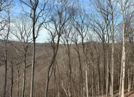 SOLD!! A one-of-a-kind property! Spectacular BLUFF property looking out to the Franklin State Forest