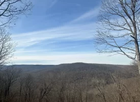 SOLD!! A one-of-a-kind property! Spectacular BLUFF property looking out to the Franklin State Forest