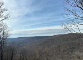 SOLD!! A one-of-a-kind property! Spectacular BLUFF property looking out to the Franklin State Forest