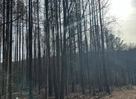 SOLD!! A one-of-a-kind property! Spectacular BLUFF property looking out to the Franklin State Forest