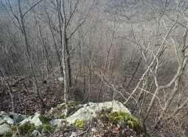 SOLD!! A one-of-a-kind property! Spectacular BLUFF property looking out to the Franklin State Forest