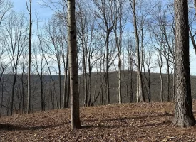 SOLD!! A one-of-a-kind property! Spectacular BLUFF property looking out to the Franklin State Forest