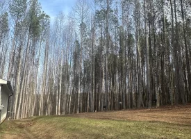 SOLD!! A one-of-a-kind property! Spectacular BLUFF property looking out to the Franklin State Forest