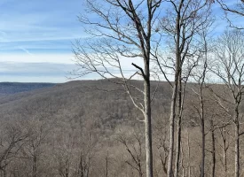 SOLD!! A one-of-a-kind property! Spectacular BLUFF property looking out to the Franklin State Forest