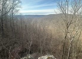SOLD!! A one-of-a-kind property! Spectacular BLUFF property looking out to the Franklin State Forest