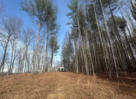 SOLD!! A one-of-a-kind property! Spectacular BLUFF property looking out to the Franklin State Forest