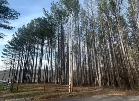 SOLD!! A one-of-a-kind property! Spectacular BLUFF property looking out to the Franklin State Forest