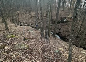 SOLD!! A one-of-a-kind property! Spectacular BLUFF property looking out to the Franklin State Forest