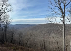 SOLD!! A one-of-a-kind property! Spectacular BLUFF property looking out to the Franklin State Forest
