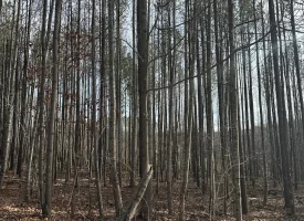 SOLD!! A one-of-a-kind property! Spectacular BLUFF property looking out to the Franklin State Forest