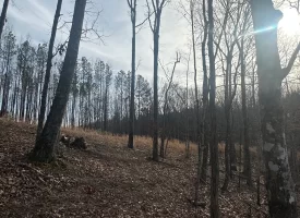 SOLD!! A one-of-a-kind property! Spectacular BLUFF property looking out to the Franklin State Forest