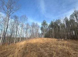 SOLD!! A one-of-a-kind property! Spectacular BLUFF property looking out to the Franklin State Forest