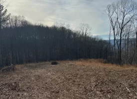 SOLD!! A one-of-a-kind property! Spectacular BLUFF property looking out to the Franklin State Forest