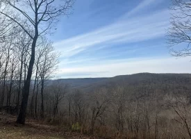 SOLD!! A one-of-a-kind property! Spectacular BLUFF property looking out to the Franklin State Forest