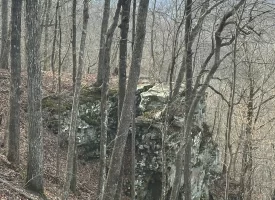 SOLD!! A one-of-a-kind property! Spectacular BLUFF property looking out to the Franklin State Forest