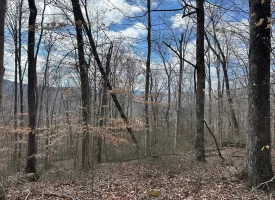 126+/-acres Unrestricted beautiful gently rolling wooded property.