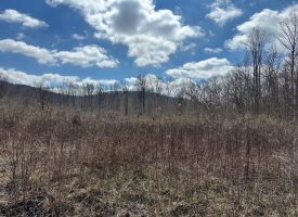 126+/-acres Unrestricted beautiful gently rolling wooded property.