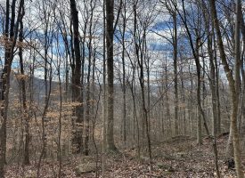 126+/-acres Unrestricted beautiful gently rolling wooded property.