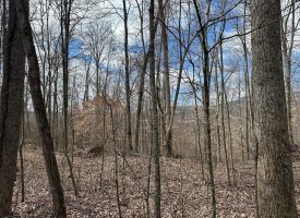 126+/-acres Unrestricted beautiful gently rolling wooded property.