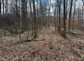 126+/-acres Unrestricted beautiful gently rolling wooded property.