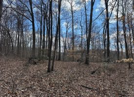 126+/-acres Unrestricted beautiful gently rolling wooded property.