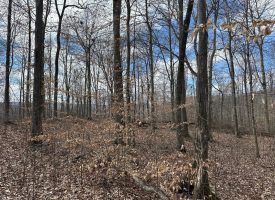 126+/-acres Unrestricted beautiful gently rolling wooded property.