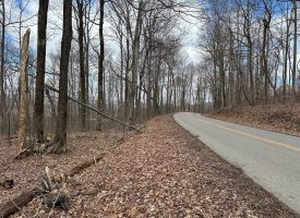 126+/-acres Unrestricted beautiful gently rolling wooded property.