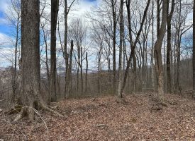 126+/-acres Unrestricted beautiful gently rolling wooded property.