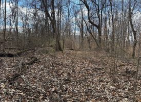 126+/-acres Unrestricted beautiful gently rolling wooded property.