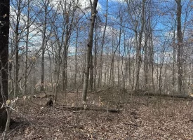 126+/-acres Unrestricted beautiful gently rolling wooded property.