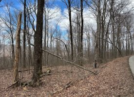 126+/-acres Unrestricted beautiful gently rolling wooded property.