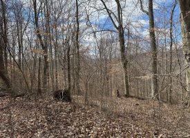 126+/-acres Unrestricted beautiful gently rolling wooded property.