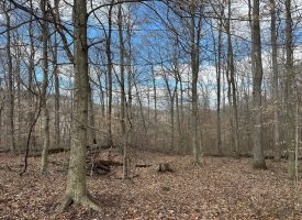 126+/-acres Unrestricted beautiful gently rolling wooded property.