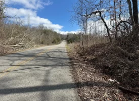 126+/-acres Unrestricted beautiful gently rolling wooded property.