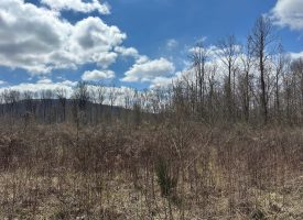 126+/-acres Unrestricted beautiful gently rolling wooded property.