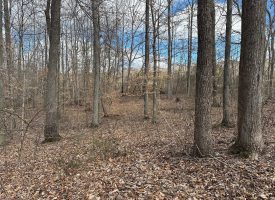 126+/-acres Unrestricted beautiful gently rolling wooded property.
