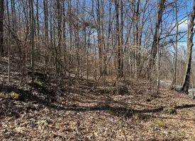 176+/-acres Unrestricted wooded property.