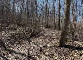 176+/-acres Unrestricted wooded property.