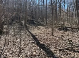 176+/-acres Unrestricted wooded property.