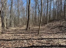 176+/-acres Unrestricted wooded property.