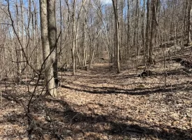 176+/-acres Unrestricted wooded property.